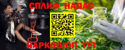 дмт Моздок
