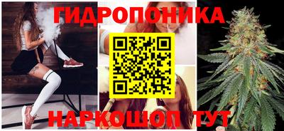 дмт Моздок