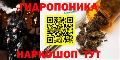 mdma Можга