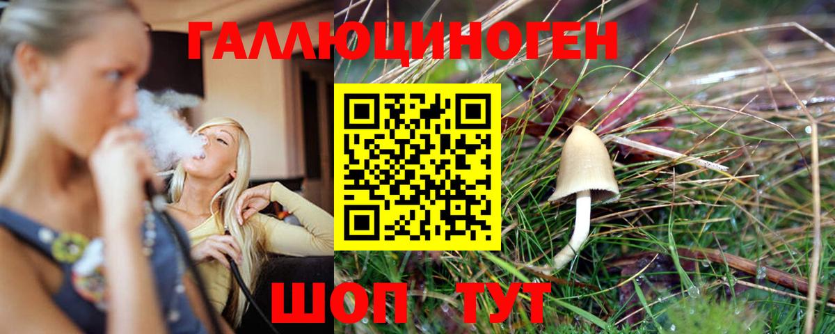 Галлюциногенные грибы ЛСД  Псилоцибиновые грибы Psilocybe  Вход с VPN  Гуково 